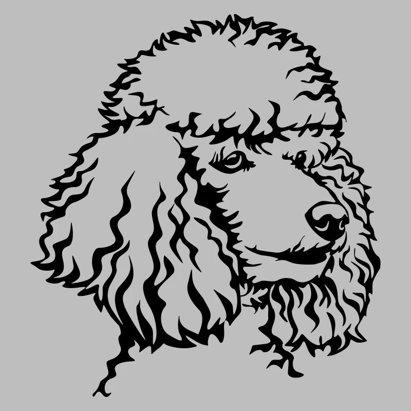 Tête de puiche