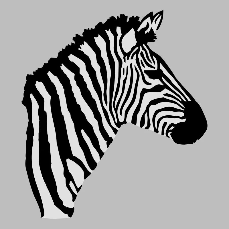 A zebra's head