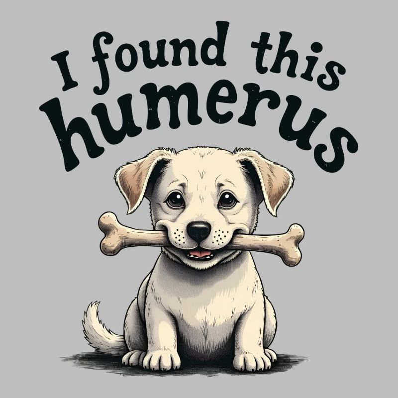 J’ai trouvé cet humérus
