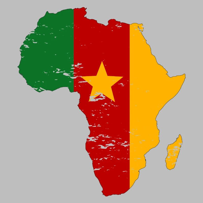 Drapeau du Sénégal Afrique utilisé