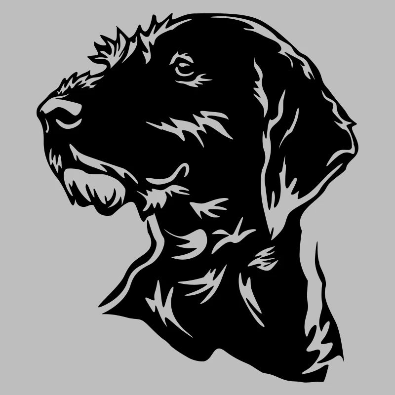 German Wirehaired Head