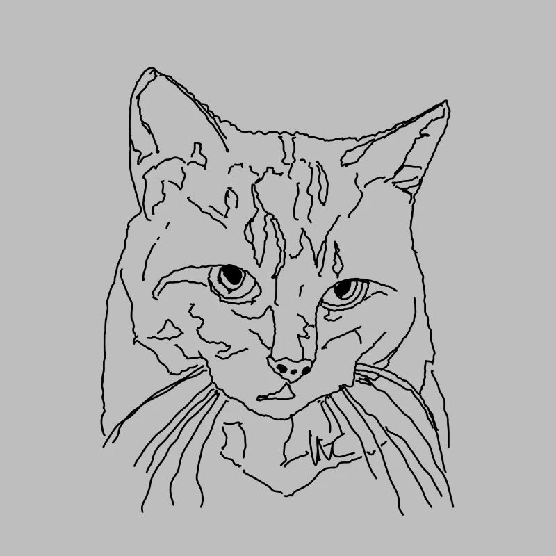 Chat