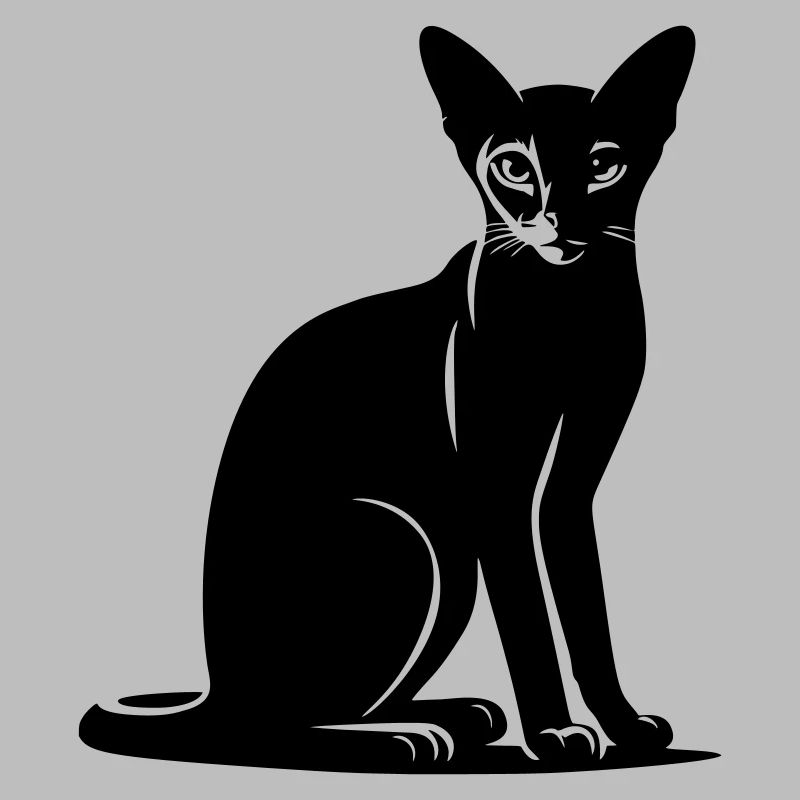 Abessiner Katze