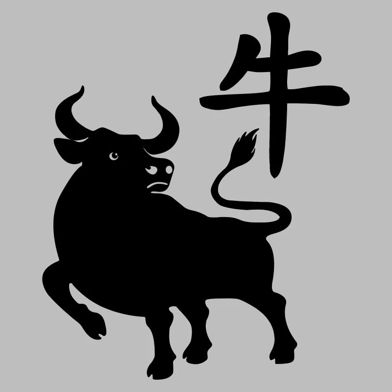 Caractère chinois OS avec image du système d’exploitation, ombre