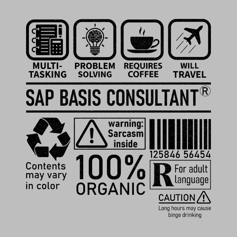 Sap Basis Consultant multi tasking problem solving