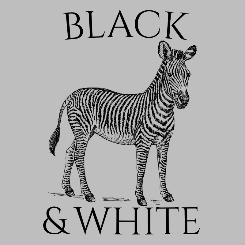 Black & White Vector Zebra – Tierdesign