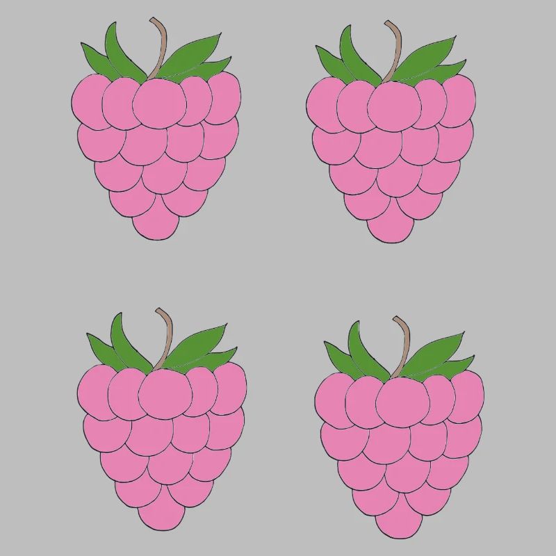 Raspberry Double Cluster Pattern