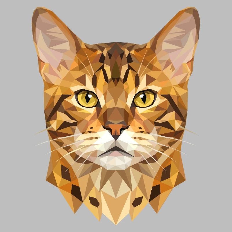 Chat léopard du Bengale, chat léopard, léopardette, chats du Bengale,