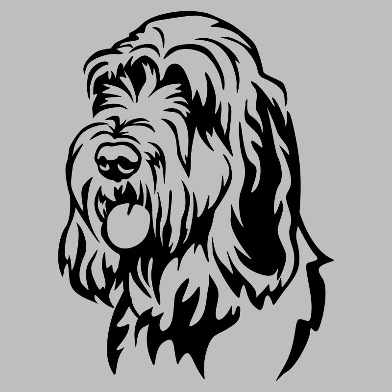 Spinone Italiano Kopf