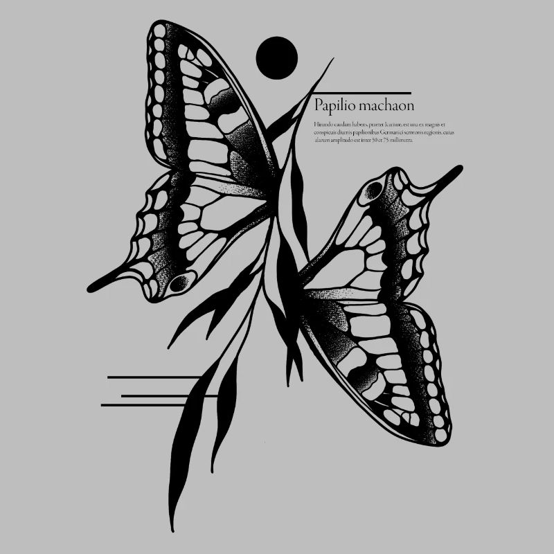 Papillon à queue d’aronde