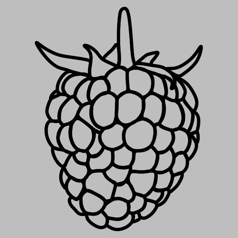 Raspberry Silhouette