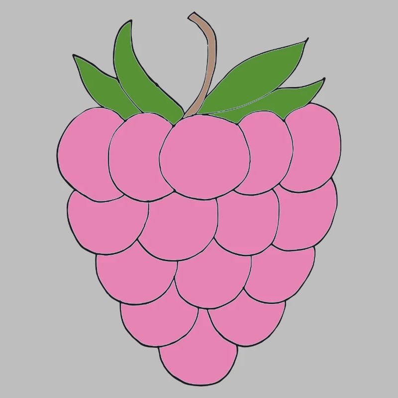 Pink Raspberry Illustration