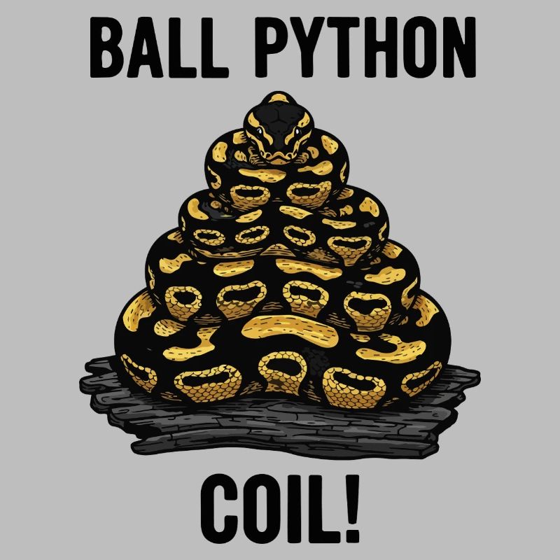 Python Royal Ball Python Coil Reptile Pyramide