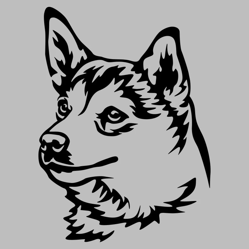 Norwegian Lundehund Head