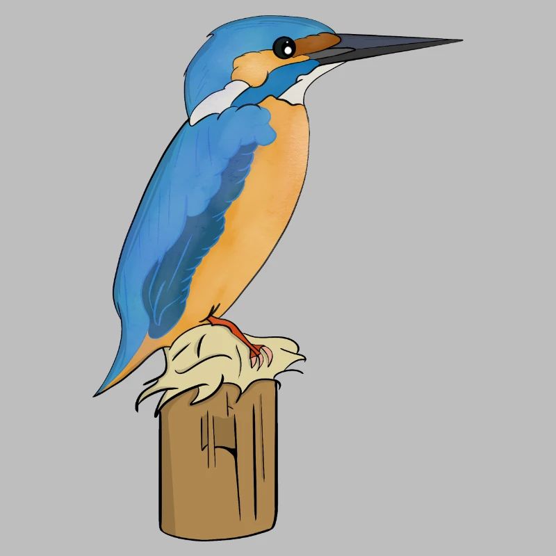 Kingfisher bird