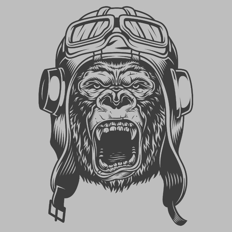 Conception du pilote Gorilla