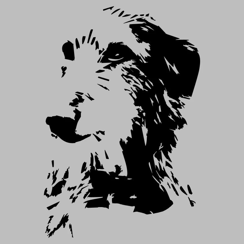 Tête écossaise de Deerhound