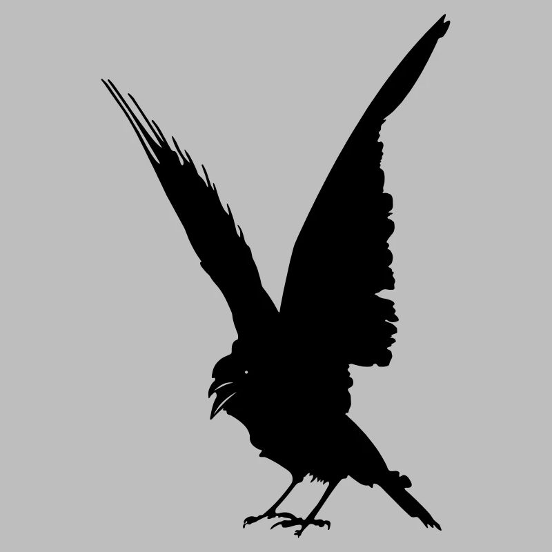 Schwarze Vogelkrähe oder Rabenschattenfigur