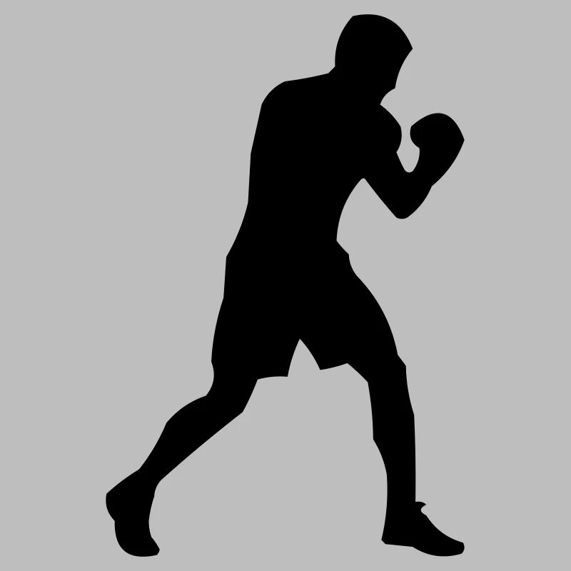Boxer