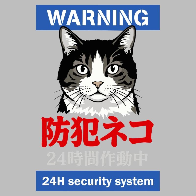 24h Security System