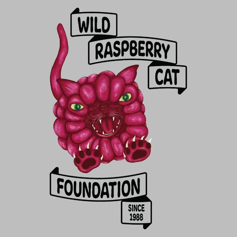 Raspberry le chat