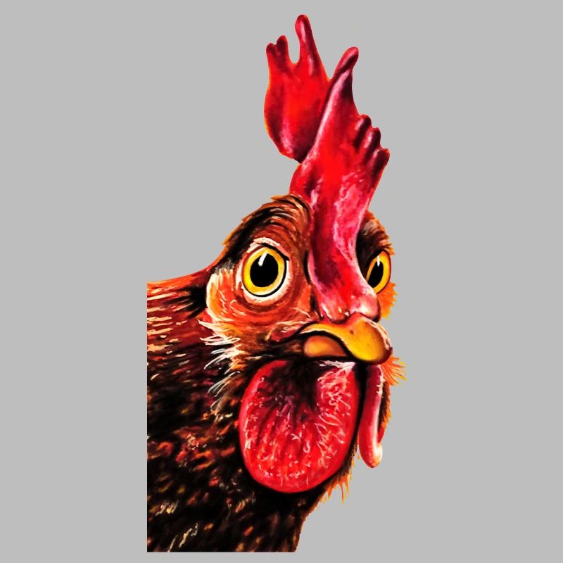 Rooster Herbert