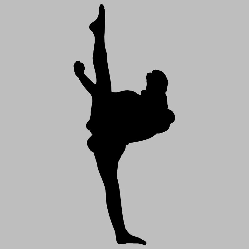 Karate oder Taekwondo High Kick