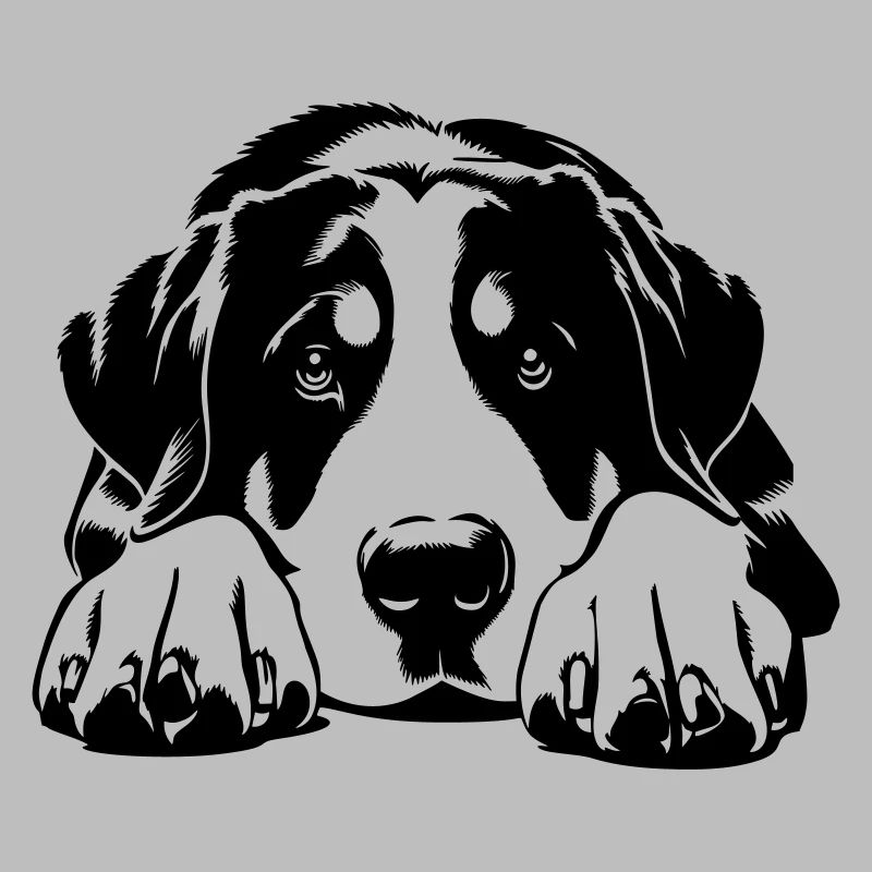 Großer Schweizer Sennenhund