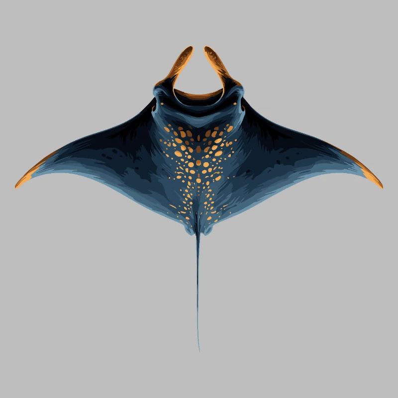 Manta Ray, Devil Ray, Stingray, Diver