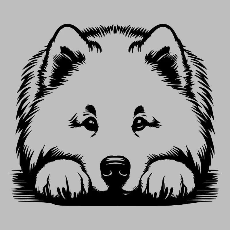 Samoyed head with paws