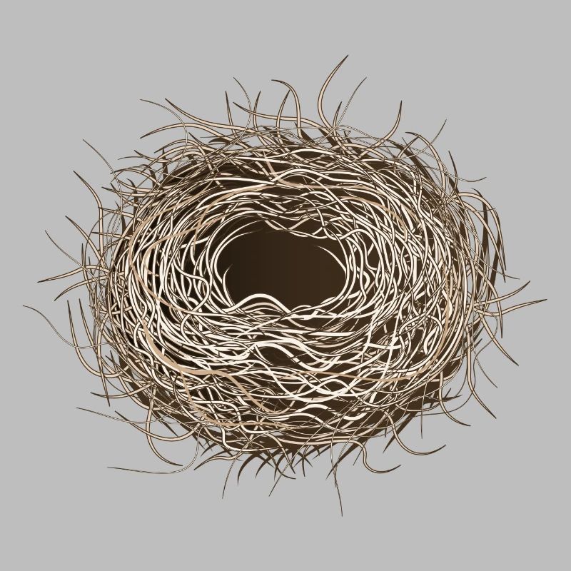 empty bird's nest or easter basket for spring