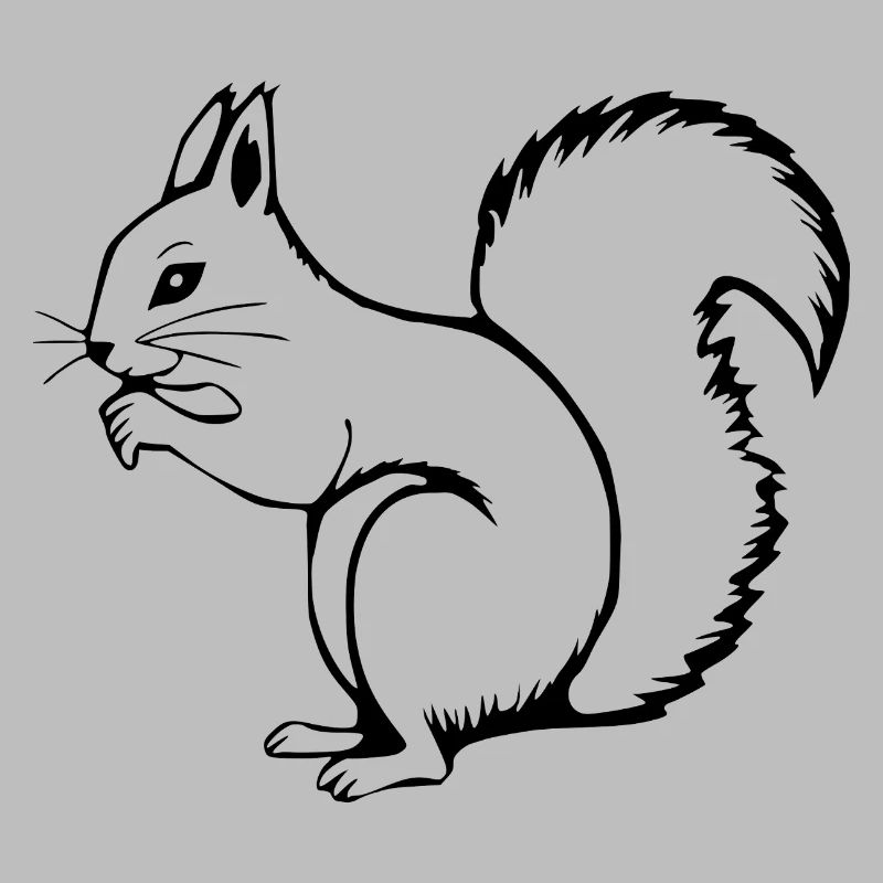 Eichhörnchen