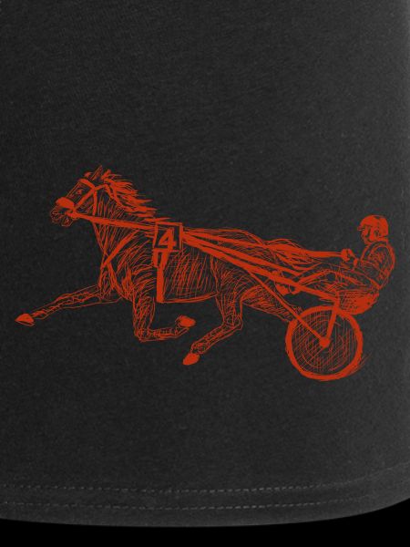 harness racing