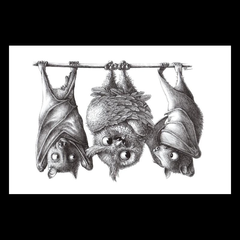 Vampireule und Fledermäuse