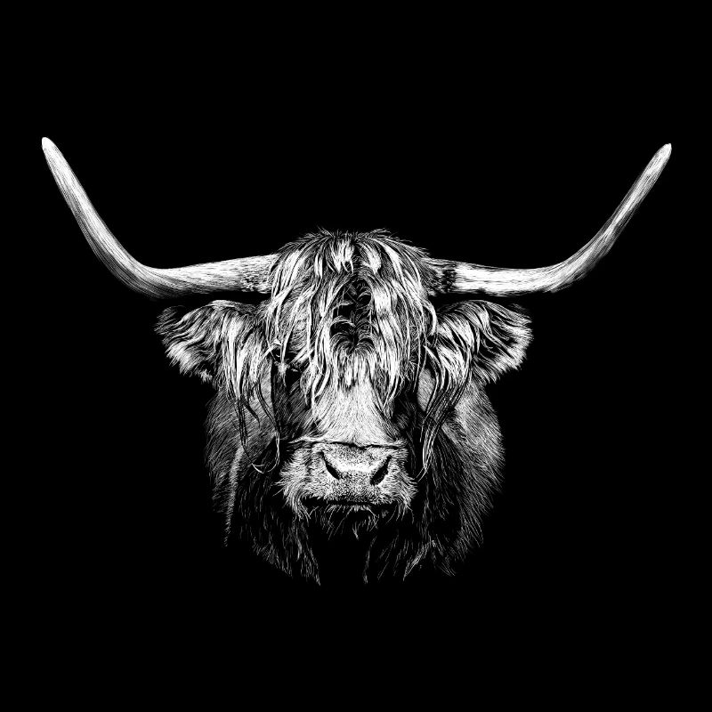 Bull