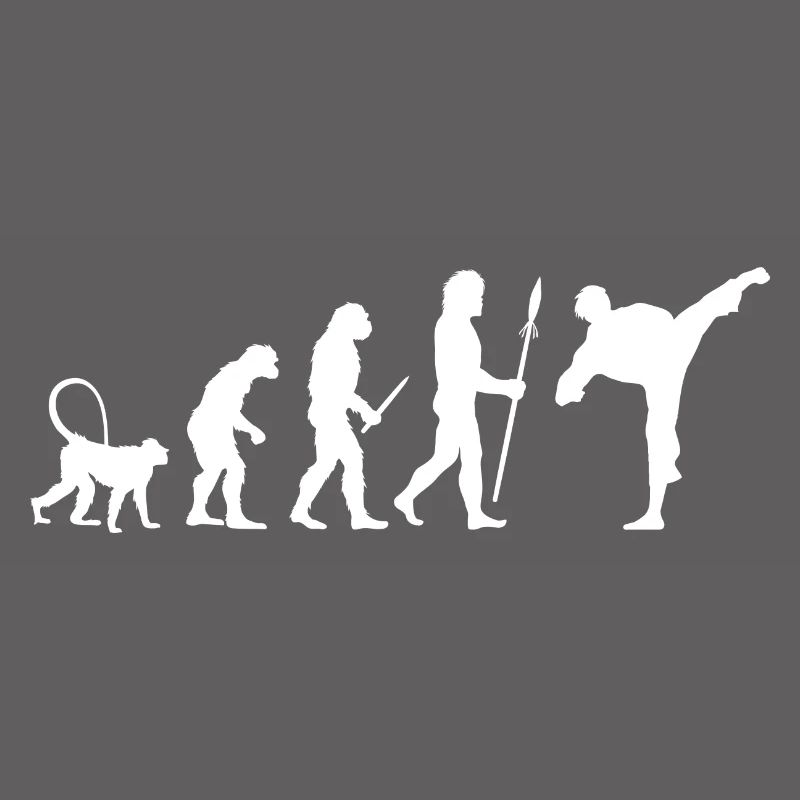 Évolution du karaté