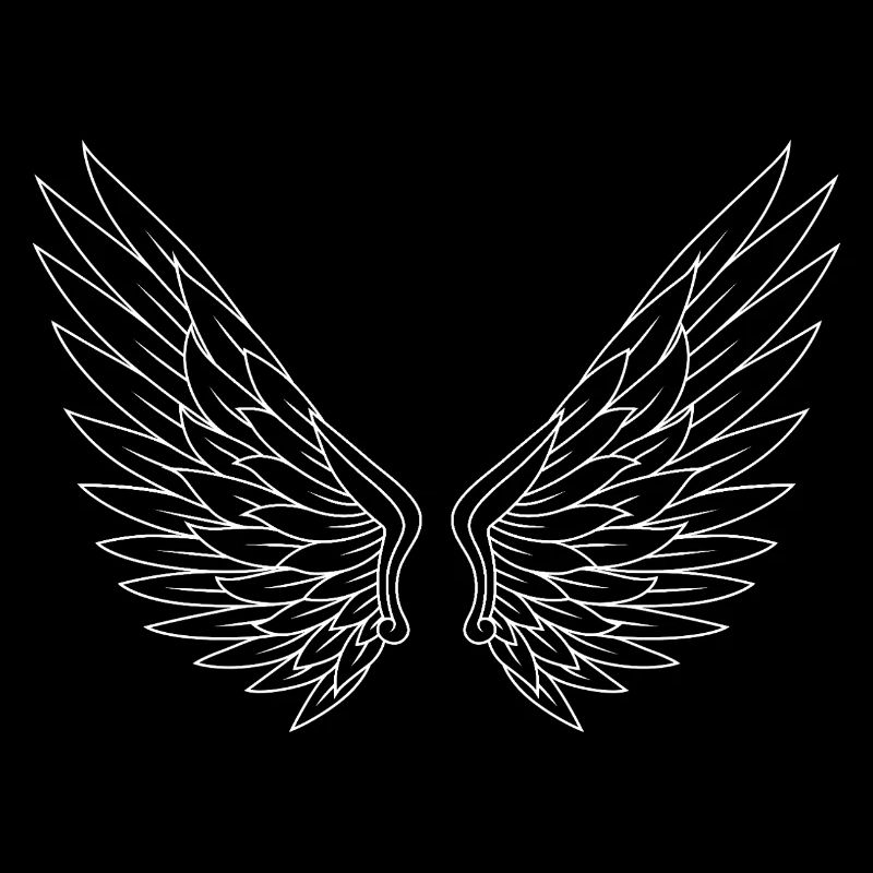 Noir Blanc Paire D’ailes