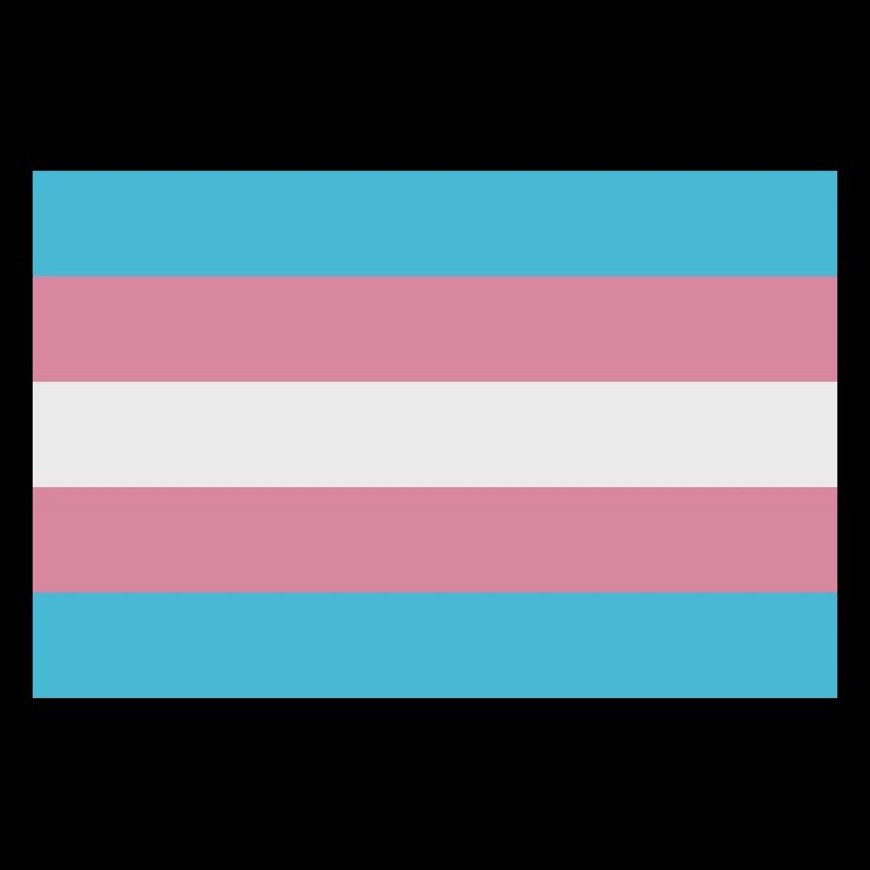 Trans flag