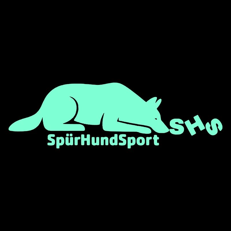 Logo SHS, aigue-marine