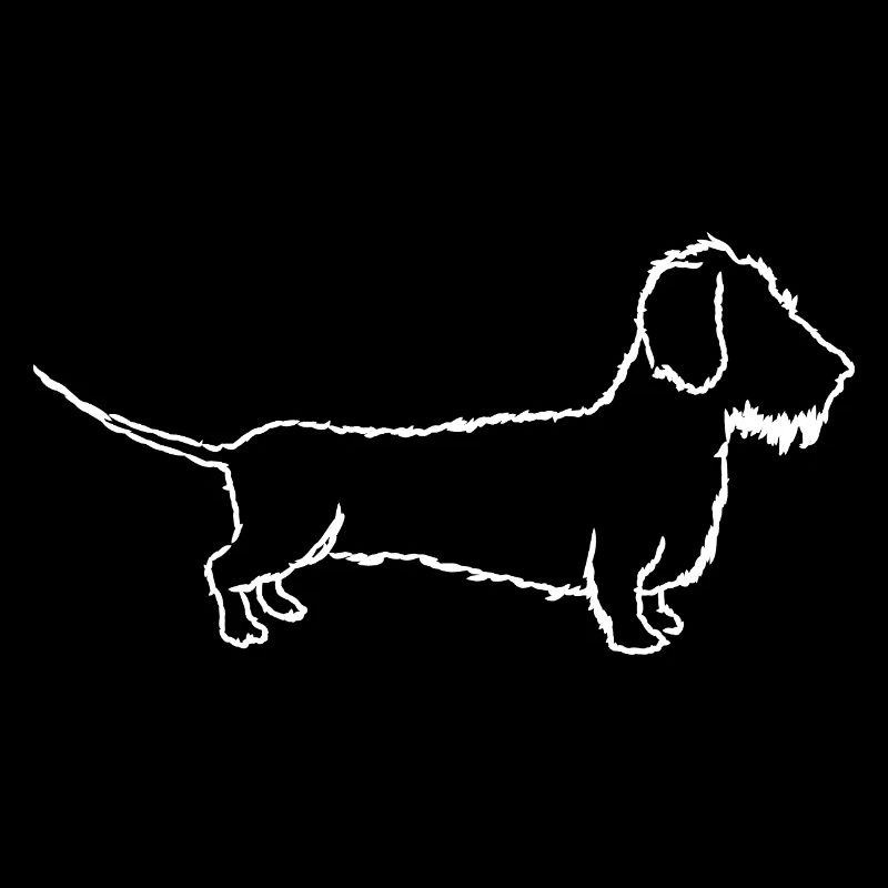Teckel, teckel à poils durs, teckel, amour du chien