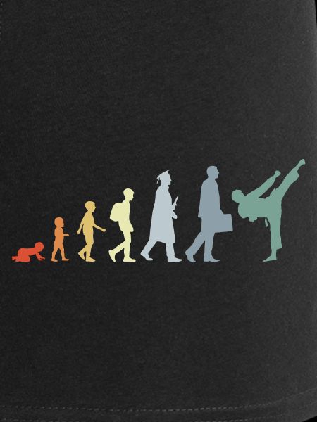 Retro Karateka Evolution