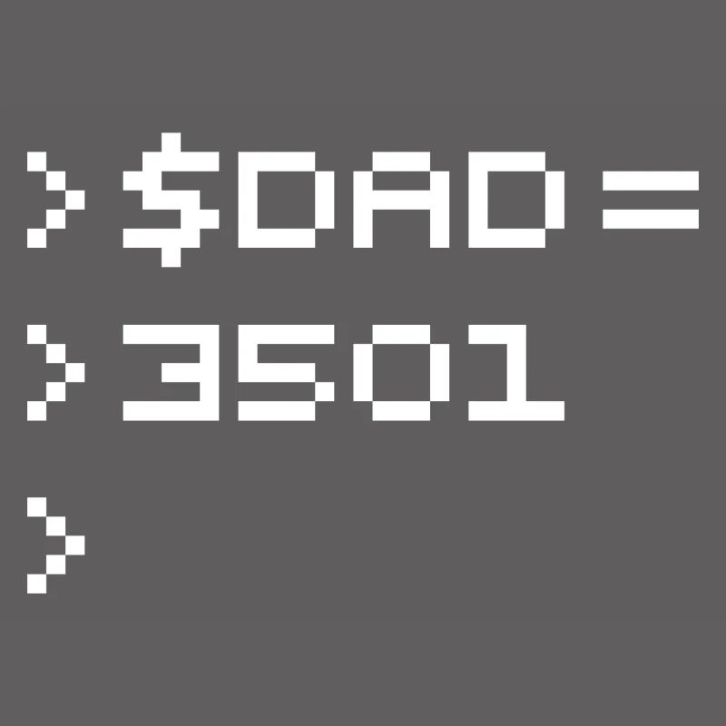 DAD Terminal de Pixels Nerd Code 8-Bits Rétro