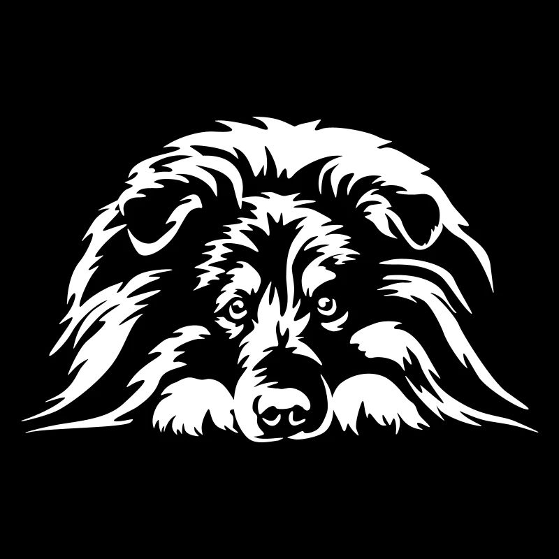 Sheltie "Black Edition"