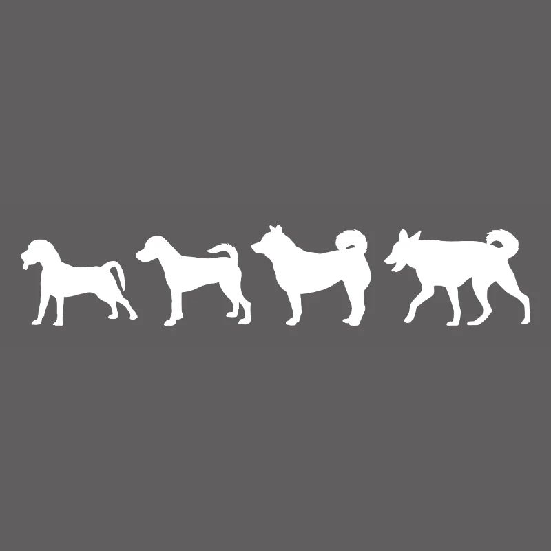 Dog Evolution