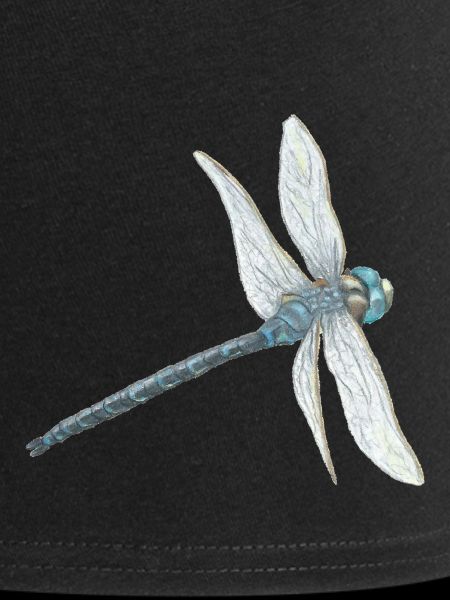 Illustration de libellule sarcelle