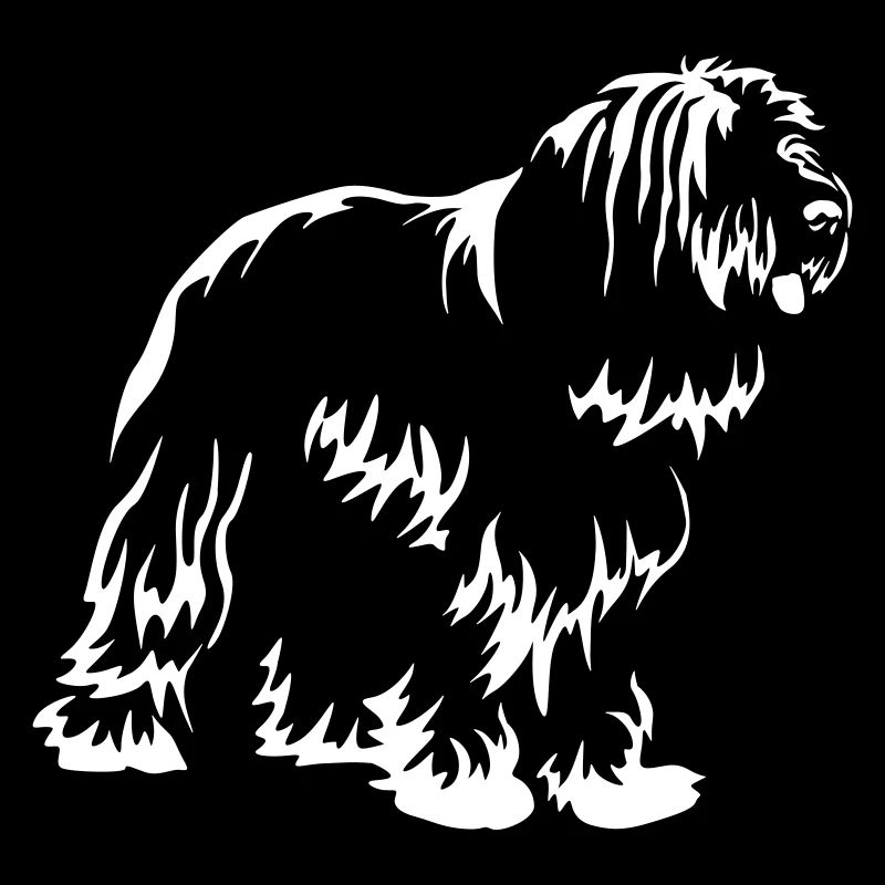 Bearded Collie "Black Edition"