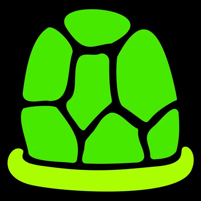 Turtle shell without turtle cute shell fun