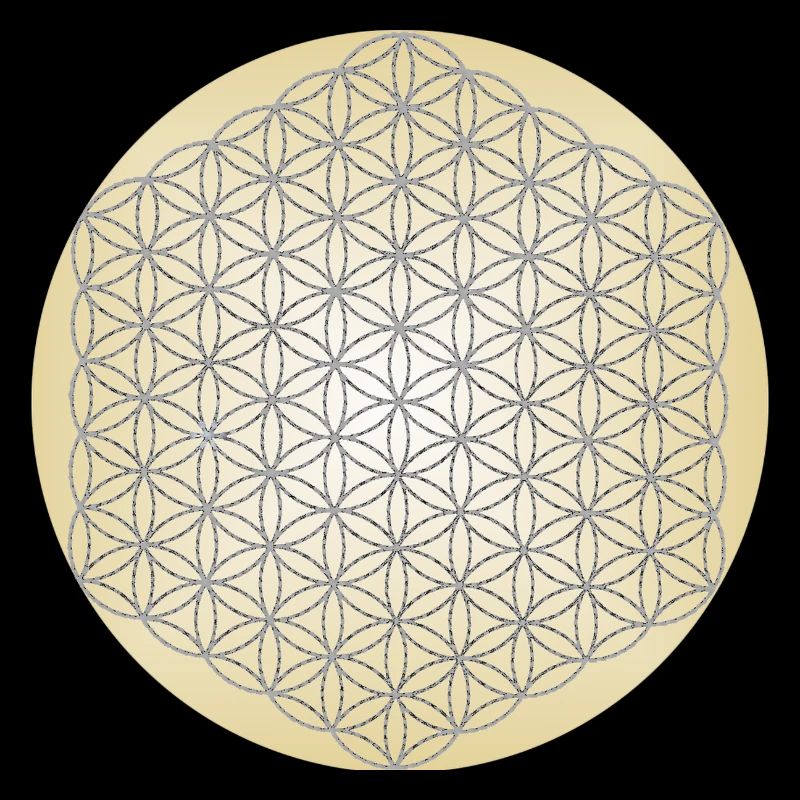 Blume des Lebens Silber - 5. Dimension - Mandala