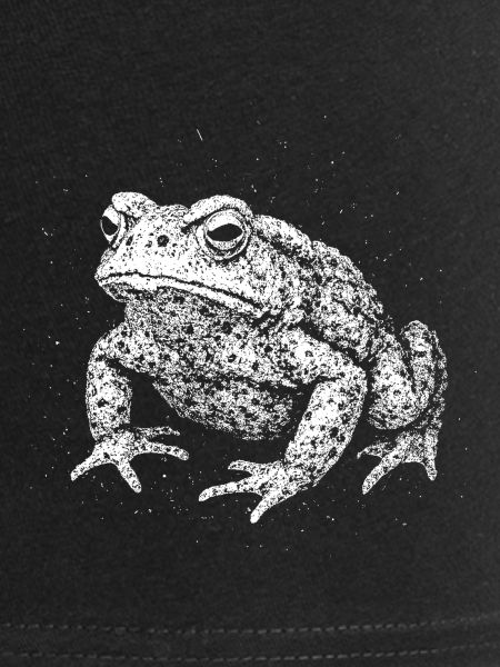 Toad