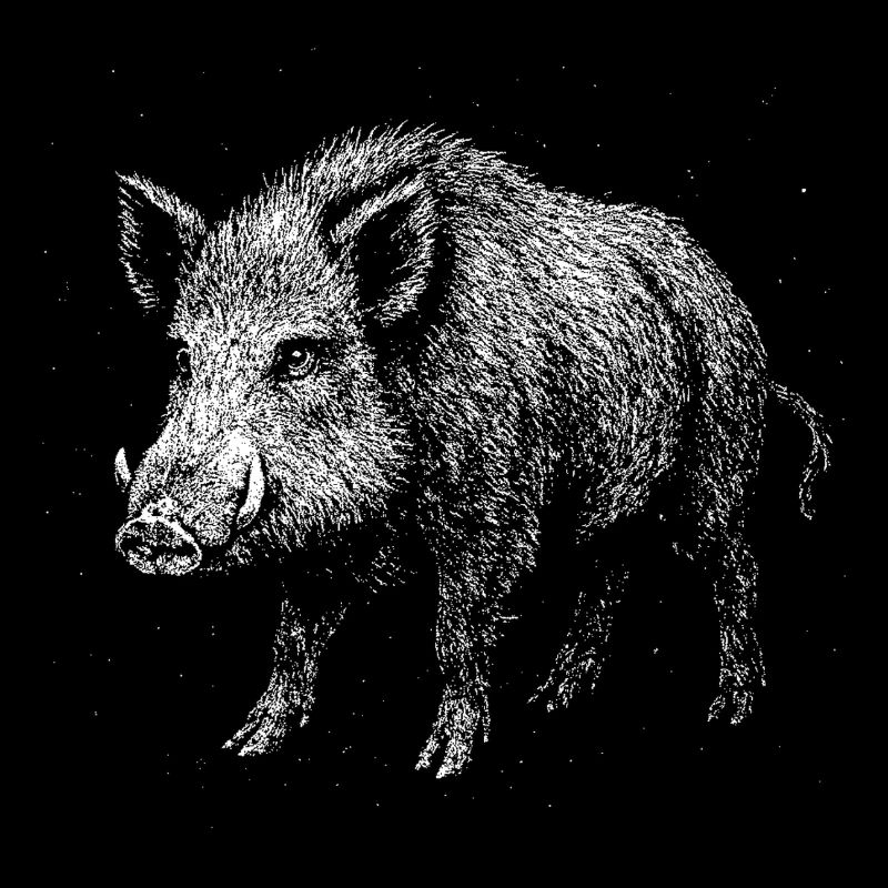Sanglier